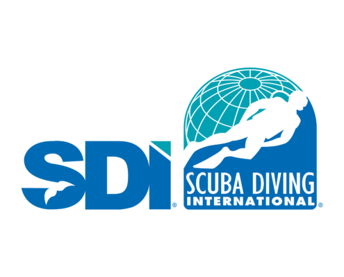 SDI-Logo-495x400 SDI-Logo-495x400